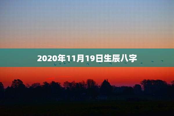 2020年11月19日生辰八字