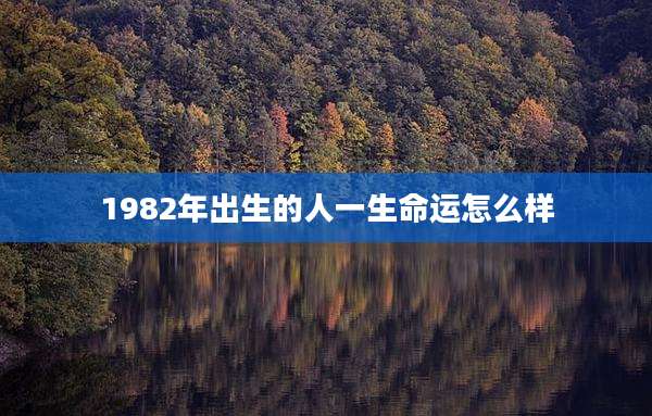 1982年出生的人一生命运怎么样