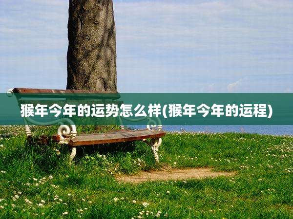 猴年今年的运势怎么样(猴年今年的运程)