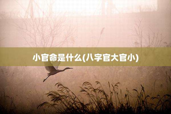 小官命是什么(八字官大官小)