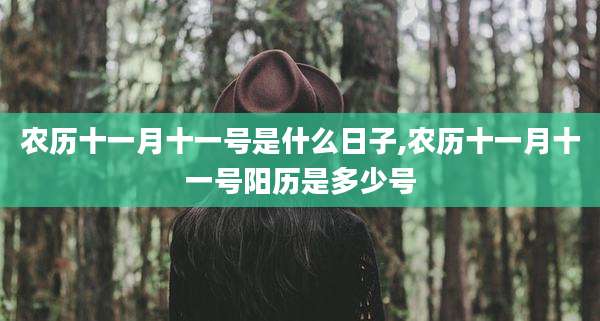 农历十一月十一号是什么日子,农历十一月十一号阳历是多少号