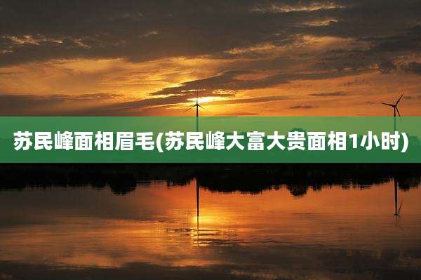 苏民峰面相眉毛(苏民峰大富大贵面相1小时)
