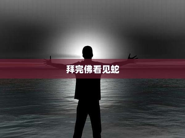 拜完佛看见蛇