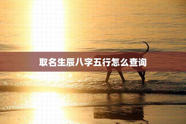 取名生辰八字五行怎么查询
