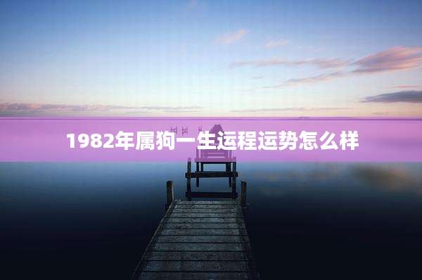 1982年属狗一生运程运势怎么样