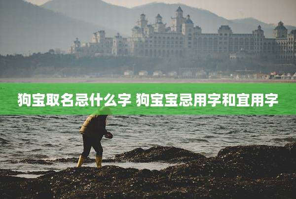 狗宝取名忌什么字 狗宝宝忌用字和宜用字