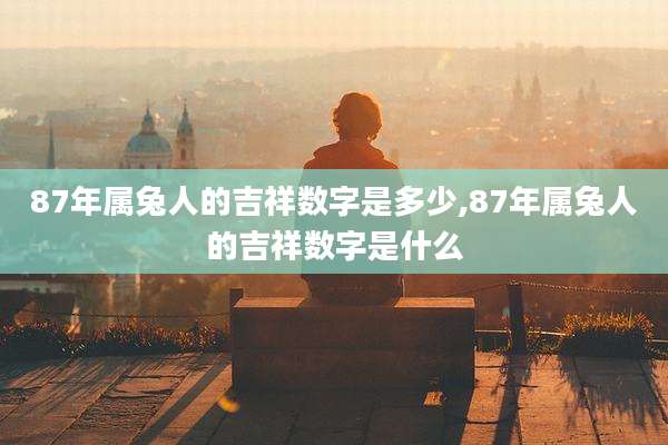 87年属兔人的吉祥数字是多少,87年属兔人的吉祥数字是什么
