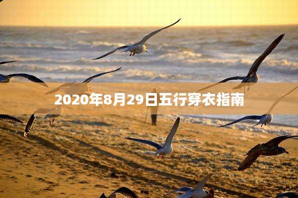 2020年8月29日五行穿衣指南