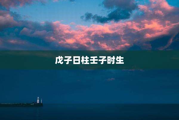 戊子日柱壬子时生