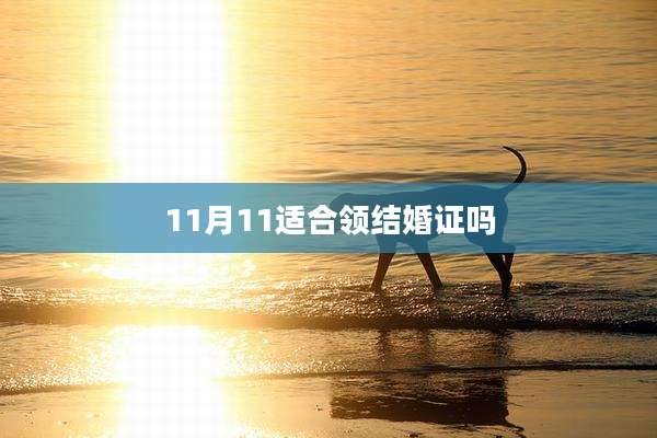 11月11适合领结婚证吗