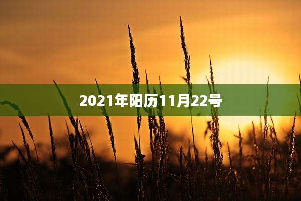 2021年阳历11月22号