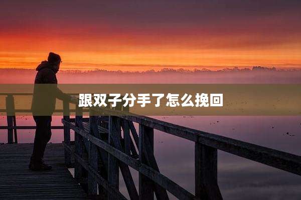 跟双子分手了怎么挽回