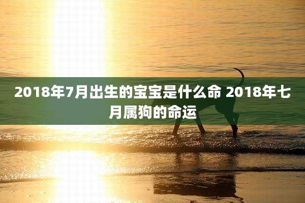 2018年7月出生的宝宝是什么命 2018年七月属狗的命运