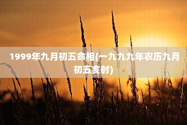 1999年九月初五命相(一九九九年农历九月初五亥时)