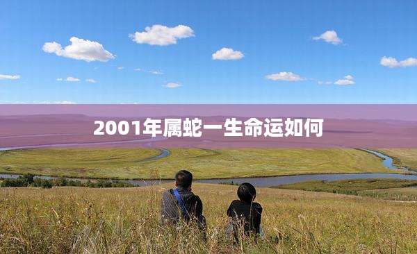 2001年属蛇一生命运如何