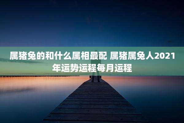 属猪兔的和什么属相最配 属猪属兔人2021年运势运程每月运程