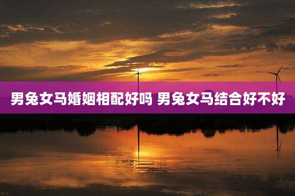 男兔女马婚姻相配好吗 男兔女马结合好不好