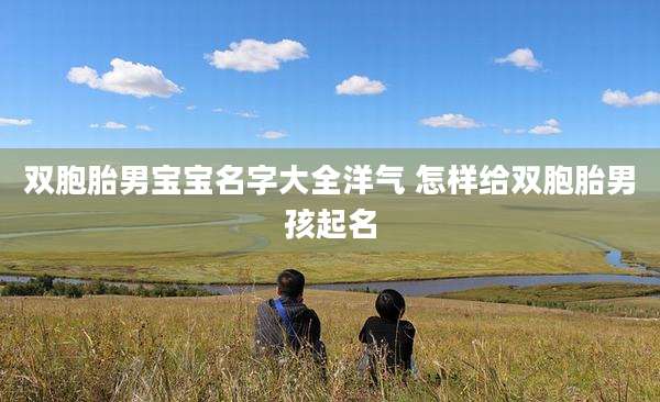 双胞胎男宝宝名字大全洋气 怎样给双胞胎男孩起名
