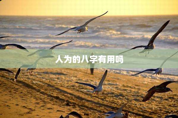 人为的八字有用吗