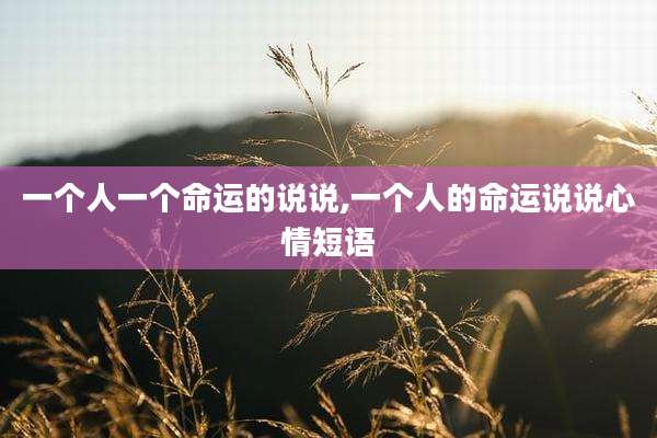 一个人一个命运的说说,一个人的命运说说心情短语