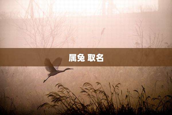 属兔 取名