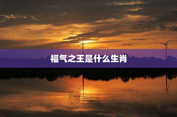福气之王是什么生肖