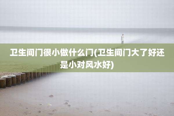 卫生间门很小做什么门(卫生间门大了好还是小对风水好)