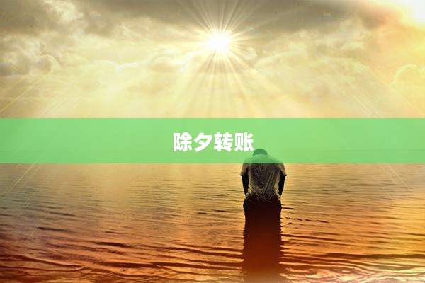 除夕转账