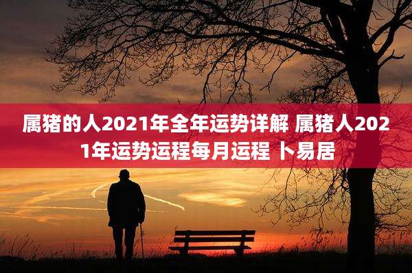 属猪的人2021年全年运势详解 属猪人2021年运势运程每月运程 卜易居