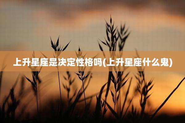 上升星座是决定性格吗(上升星座什么鬼)