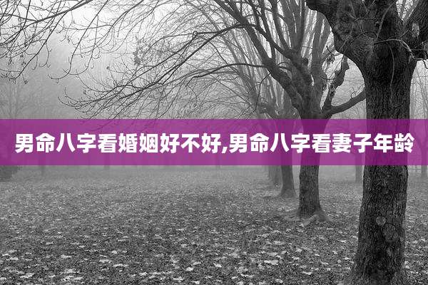 男命八字看婚姻好不好,男命八字看妻子年龄