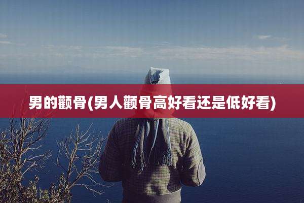 男的颧骨(男人颧骨高好看还是低好看)