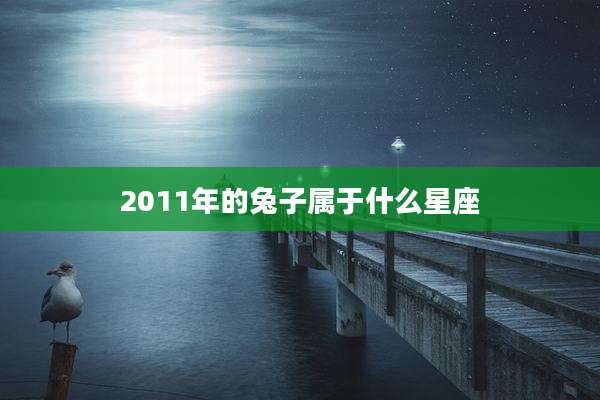 2011年的兔子属于什么星座