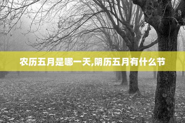 农历五月是哪一天,阴历五月有什么节