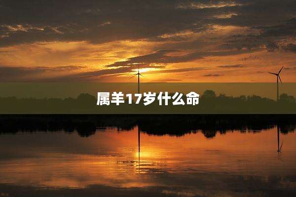 属羊17岁什么命