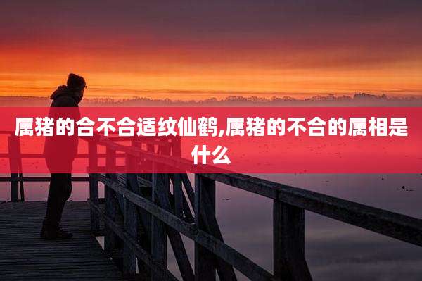 属猪的合不合适纹仙鹤,属猪的不合的属相是什么
