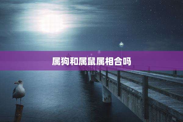 属狗和属鼠属相合吗