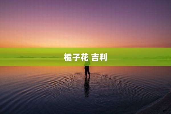 栀子花 吉利