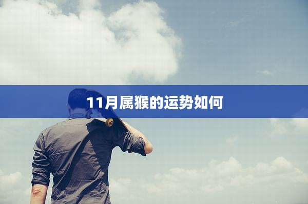 11月属猴的运势如何