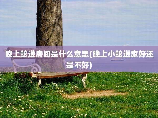 晚上蛇进房间是什么意思(晚上小蛇进家好还是不好)