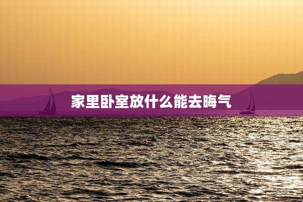 家里卧室放什么能去晦气