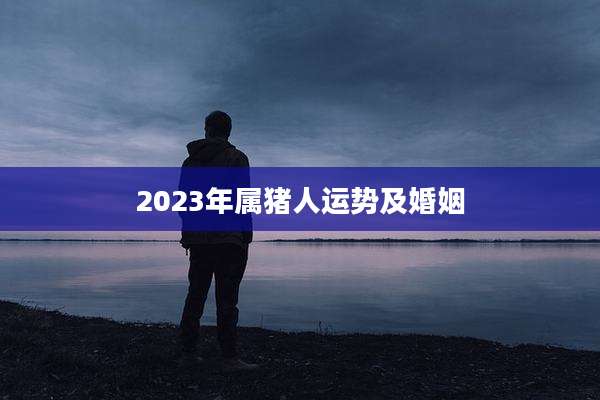 2023年属猪人运势及婚姻
