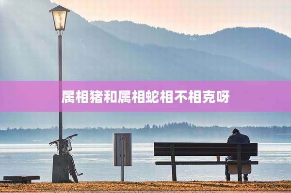 属相猪和属相蛇相不相克呀