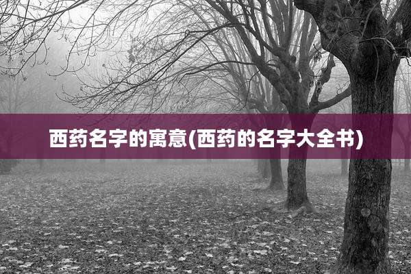 西药名字的寓意(西药的名字大全书)