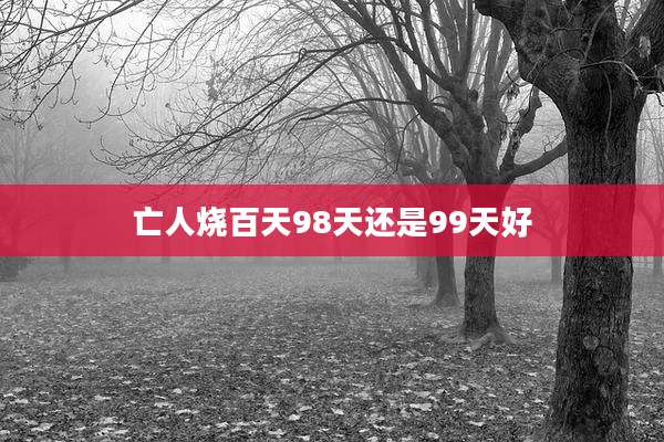 亡人烧百天98天还是99天好