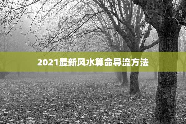 2021最新风水算命导流方法