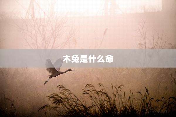 木兔是什么命