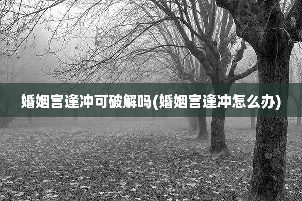婚姻宫逢冲可破解吗(婚姻宫逢冲怎么办)