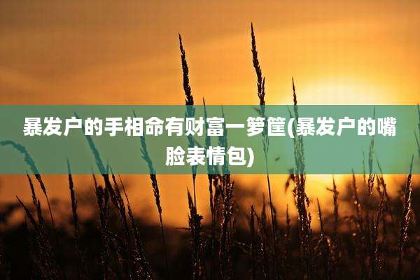 暴发户的手相命有财富一箩筐(暴发户的嘴脸表情包)