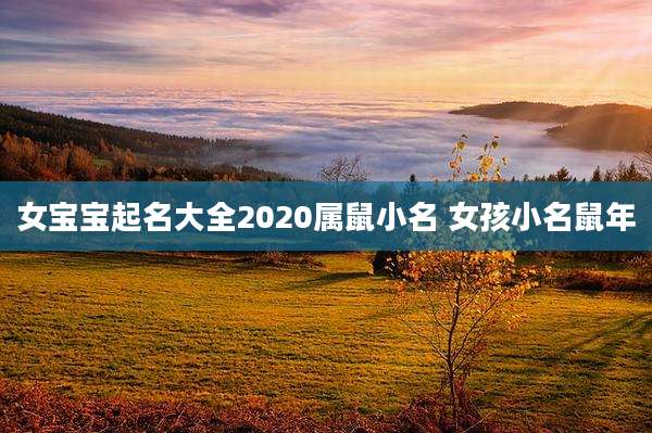 女宝宝起名大全2020属鼠小名 女孩小名鼠年